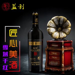 益利雪域