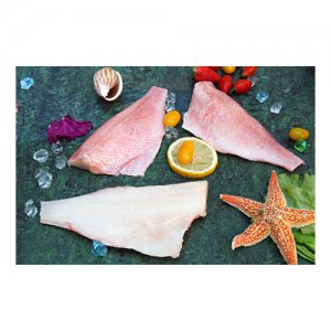 中魯遠洋紅魚