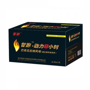 黑客智跑動力8小時-箱維生素功能飲料460ml×15瓶