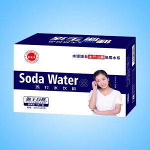 口口珍金浪灣蘇打水350mlx24瓶