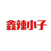 漯河市鑫辣小子調(diào)味品有限公司