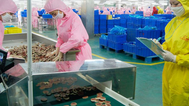 寵物食品第三股來了！ OEM 模式為主，能吃到寵物市場大蛋糕嗎？.jpg