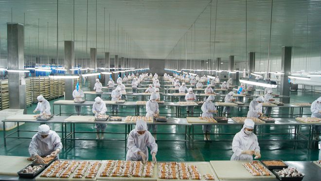 寵物食品第三股來了！ OEM 模式為主，能吃到寵物市場大蛋糕嗎？1.jpg