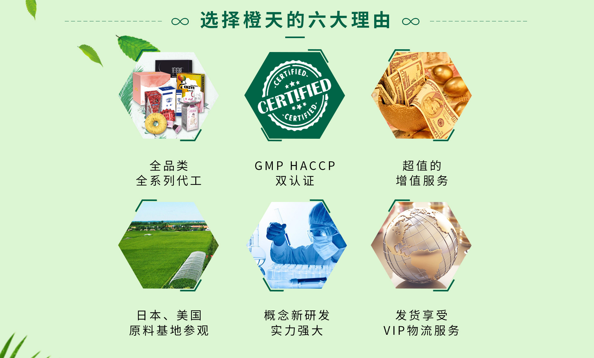 廣東橙天綠寶生物醫藥開發有限公司.jpg