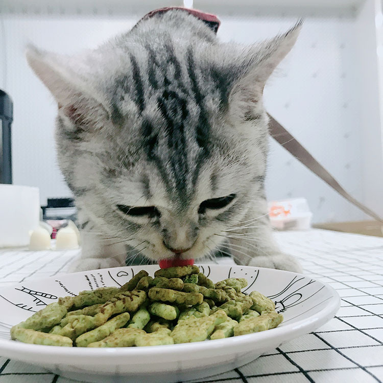 山東派克寵物食品有限公司.jpg
