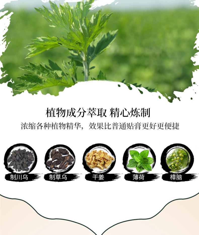 艾草貼（頸肩型）詳情_06.jpg