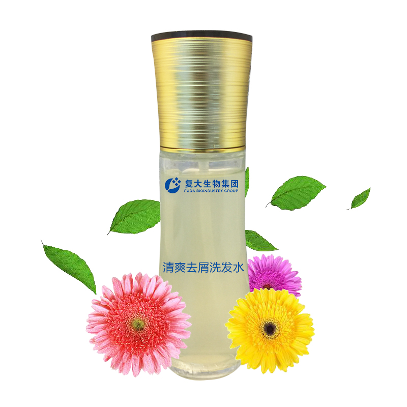 清爽去屑洗發(fā)水.jpg