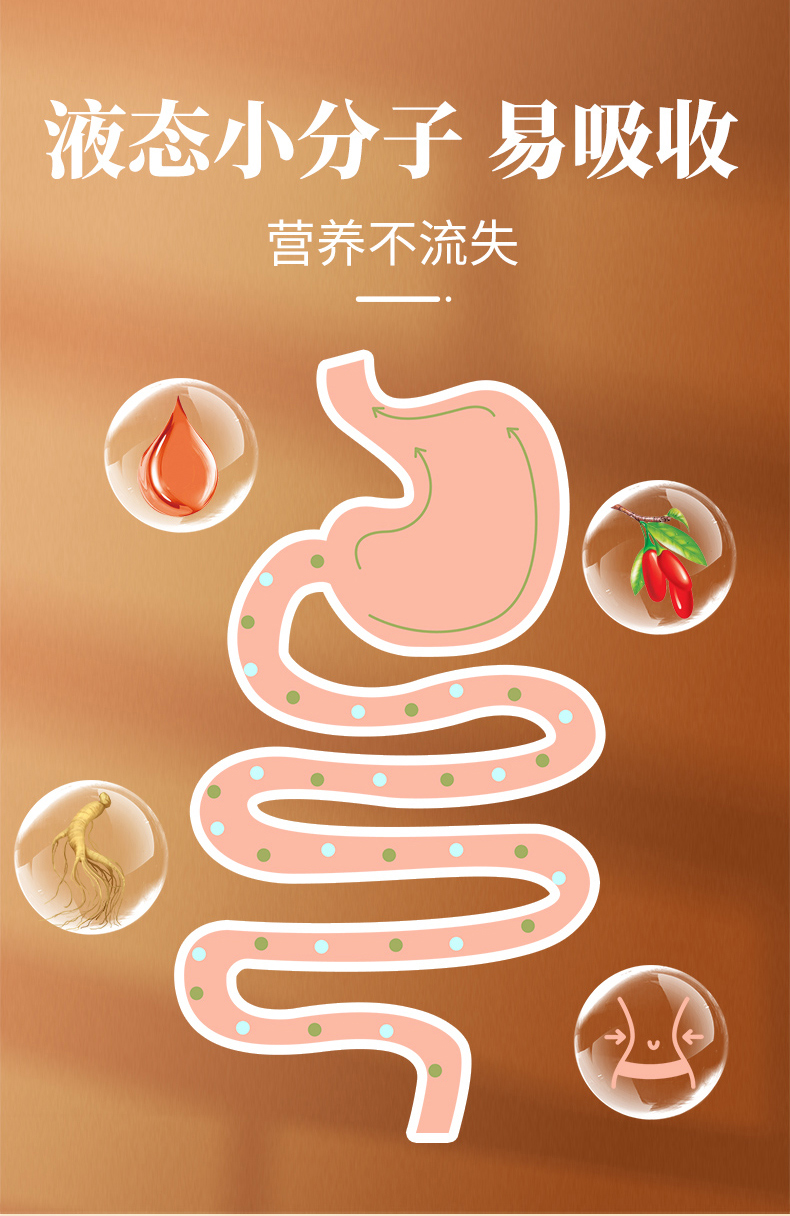 枸杞人參_06.jpg