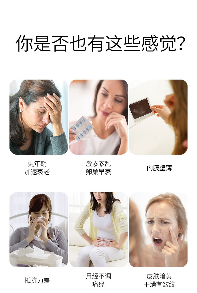 羊_03.jpg