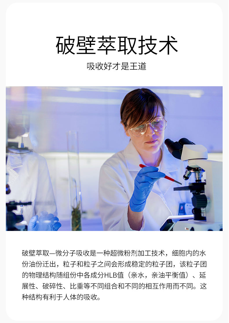 羊_11.jpg