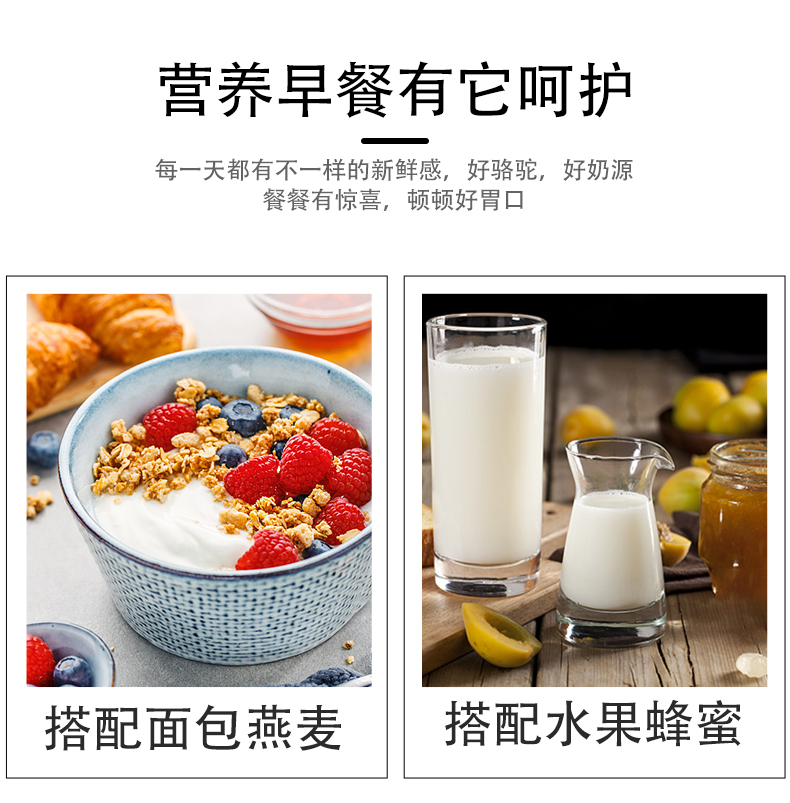 西域總督初乳配方駝奶粉詳情頁_10.jpg