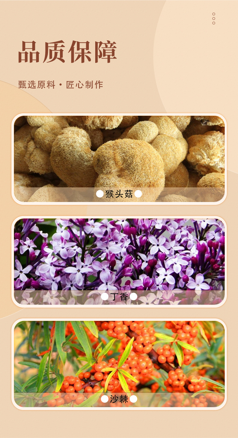 2-詳情圖.jpg