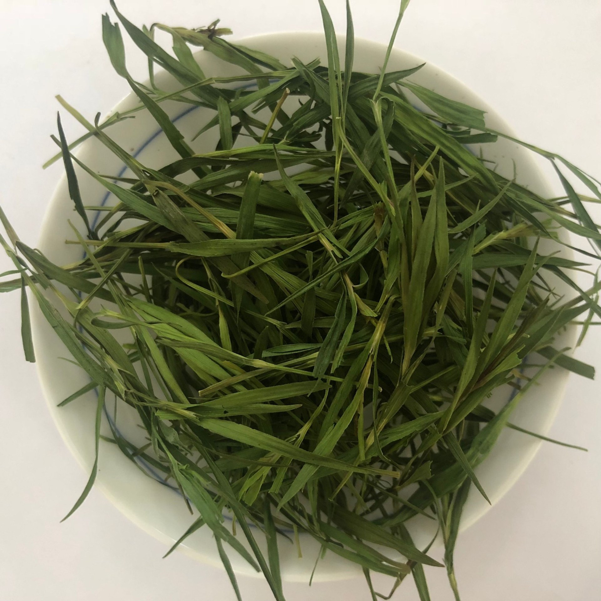 花草茶竹葉茶貼牌oem代加工,頗受歡迎