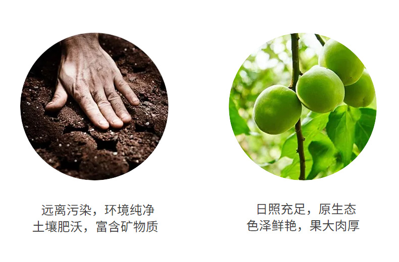 3-詳情圖.jpg