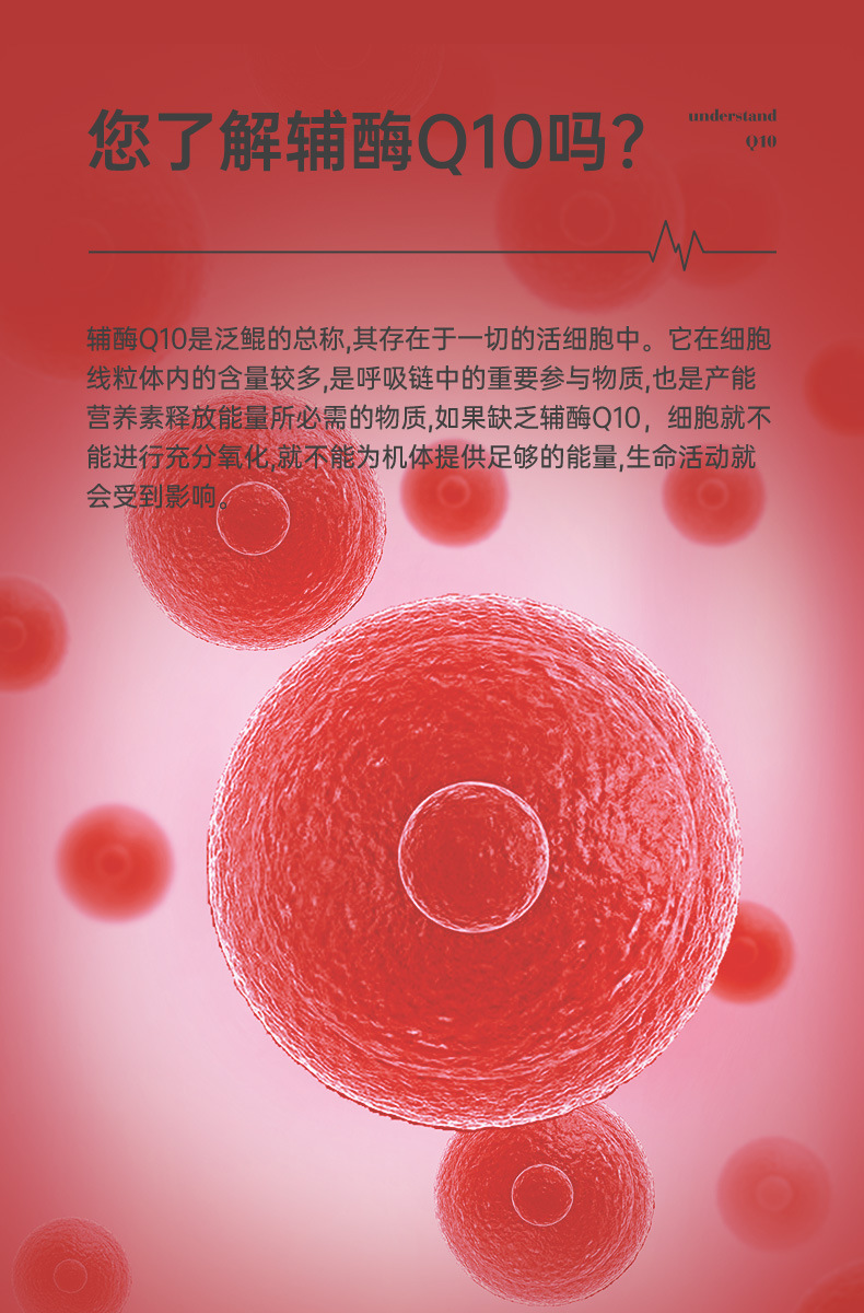 4-詳情圖.jpg