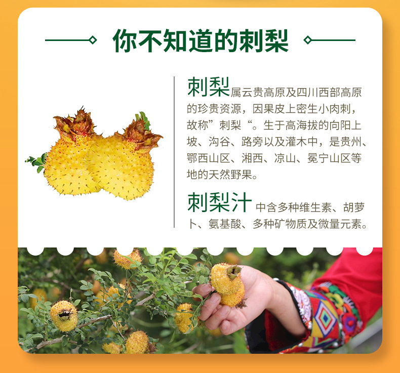 6-詳情圖.jpg