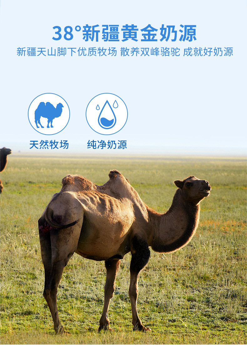 8-詳情圖.jpg