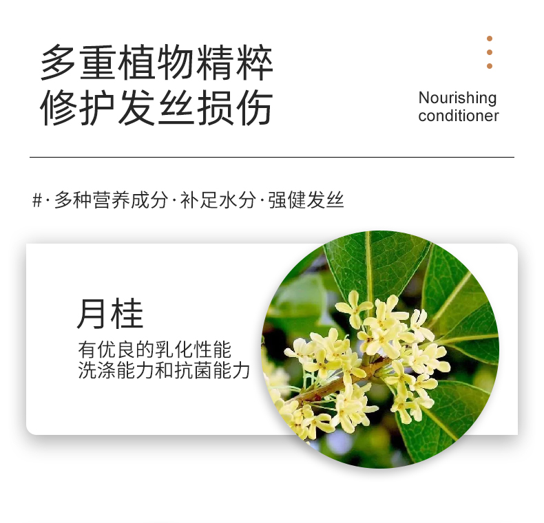 滋養柔順護發素4_03.jpg