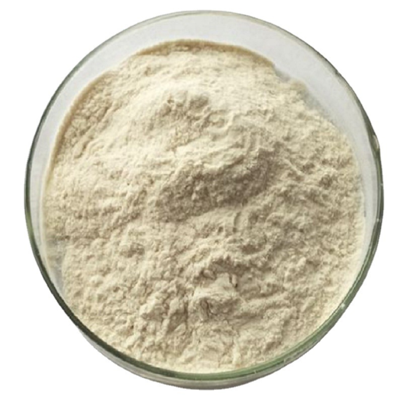果蔬酵素粉定制貼牌代加工,快來了解下