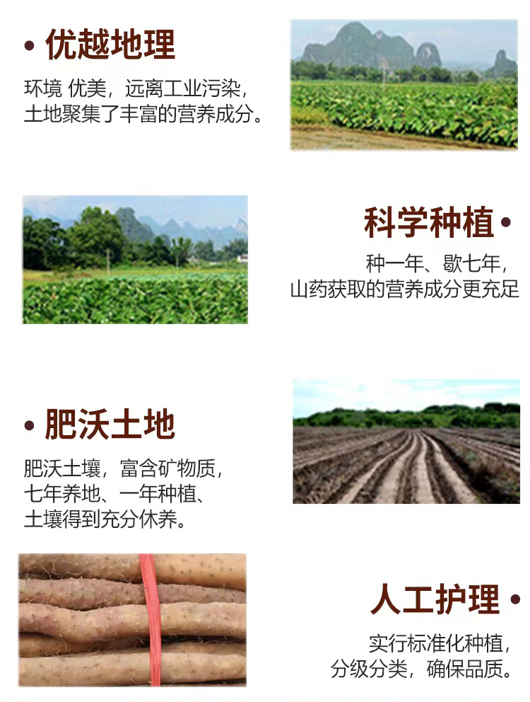 鐵棍山藥多肽_05.jpg