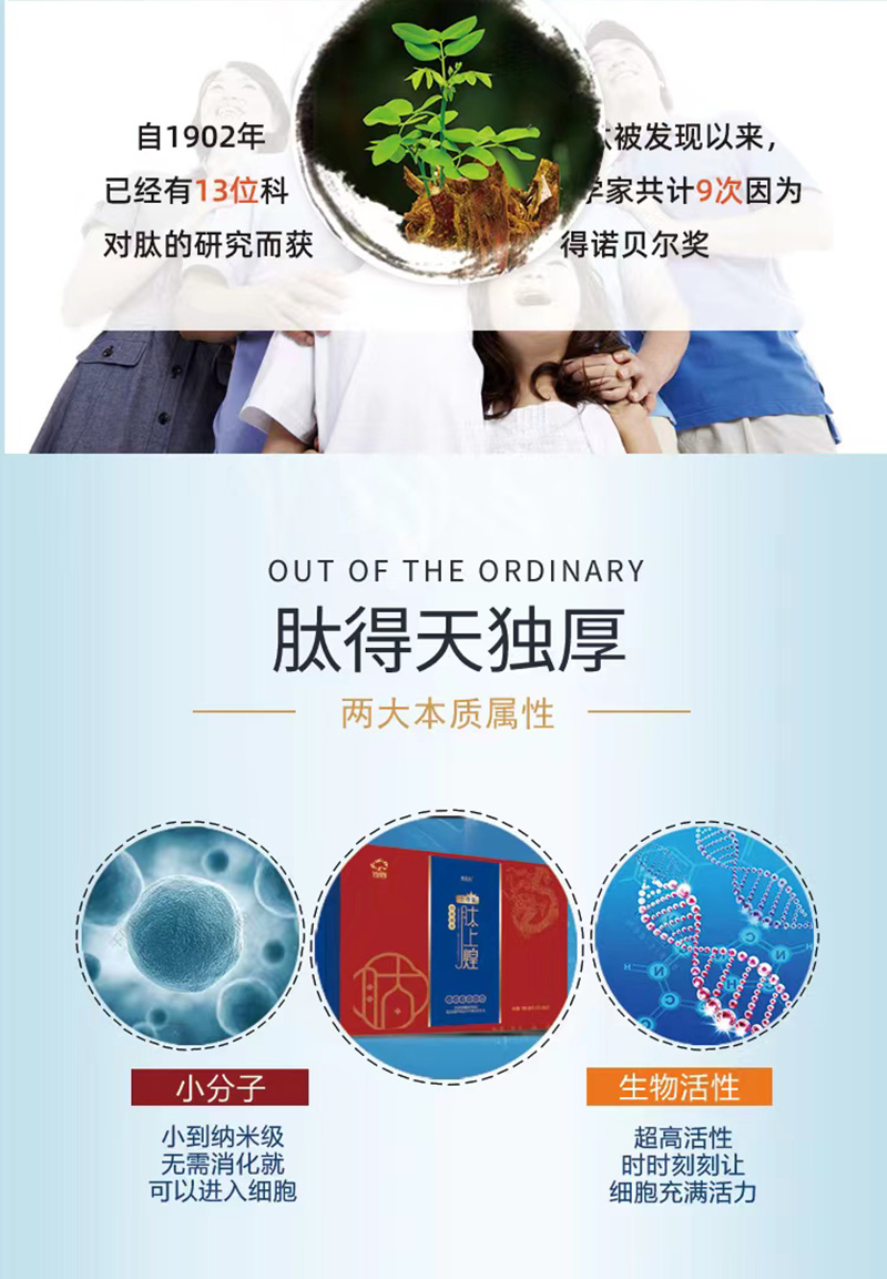 肽上煌小分子活性肽_05.jpg