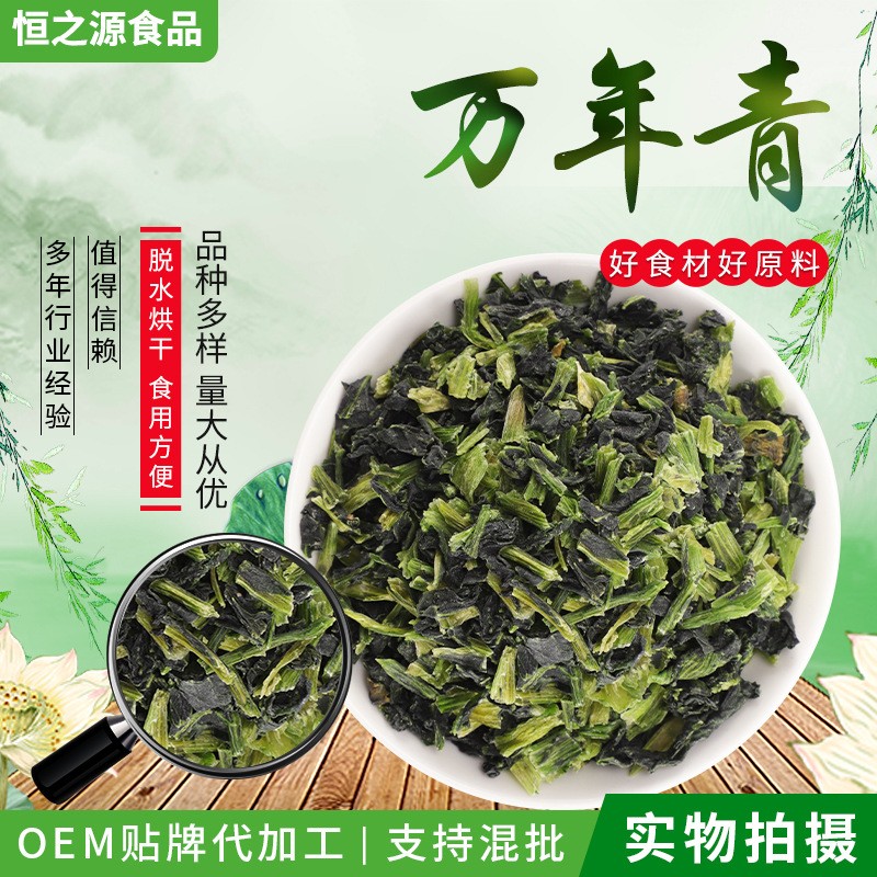 脫水蔬菜萬年青 散裝脫水干菜涼拌菜 脫水菜心 批發供應量大價優.jpg