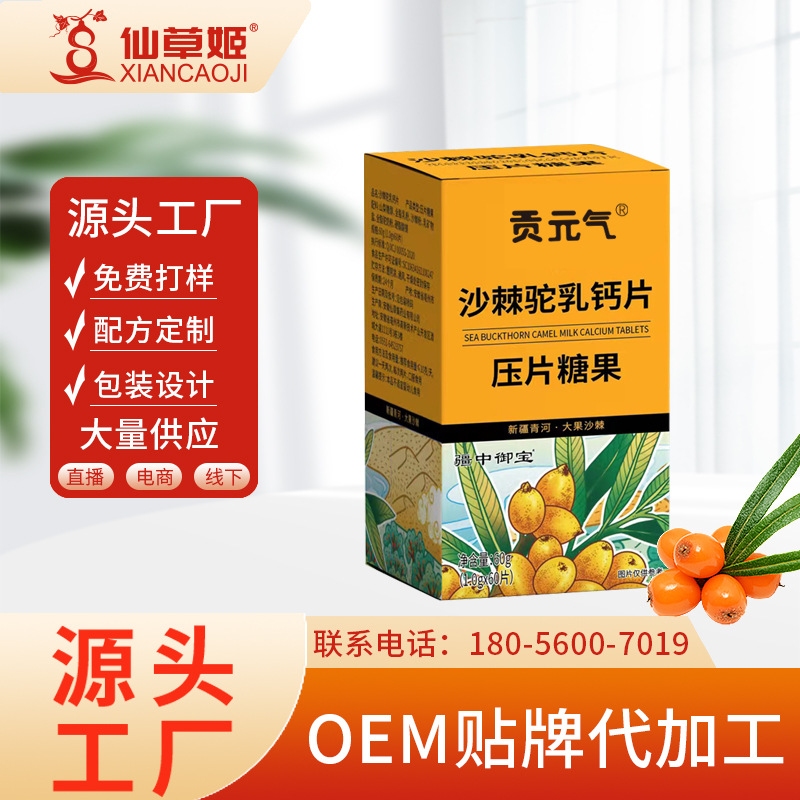 貢元氣沙棘駝乳鈣片60片 瓶壓片益生菌駝乳鈣片鈣片青少年.jpg