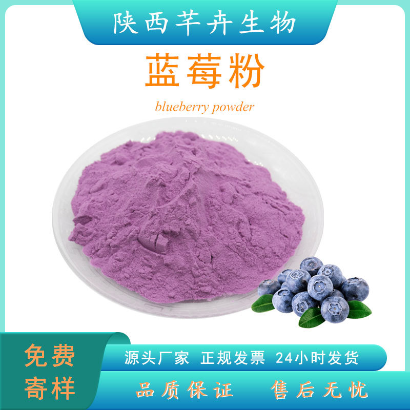 藍莓粉食品級 藍莓提取物 水溶藍莓果粉 藍莓汁 濃縮粉 廠家現貨.jpg