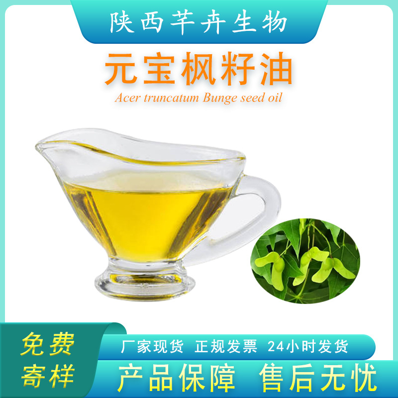 元寶楓籽油99% 神經酸≥6% Nervonic Acid 元寶楓油 植物提取油包.jpg