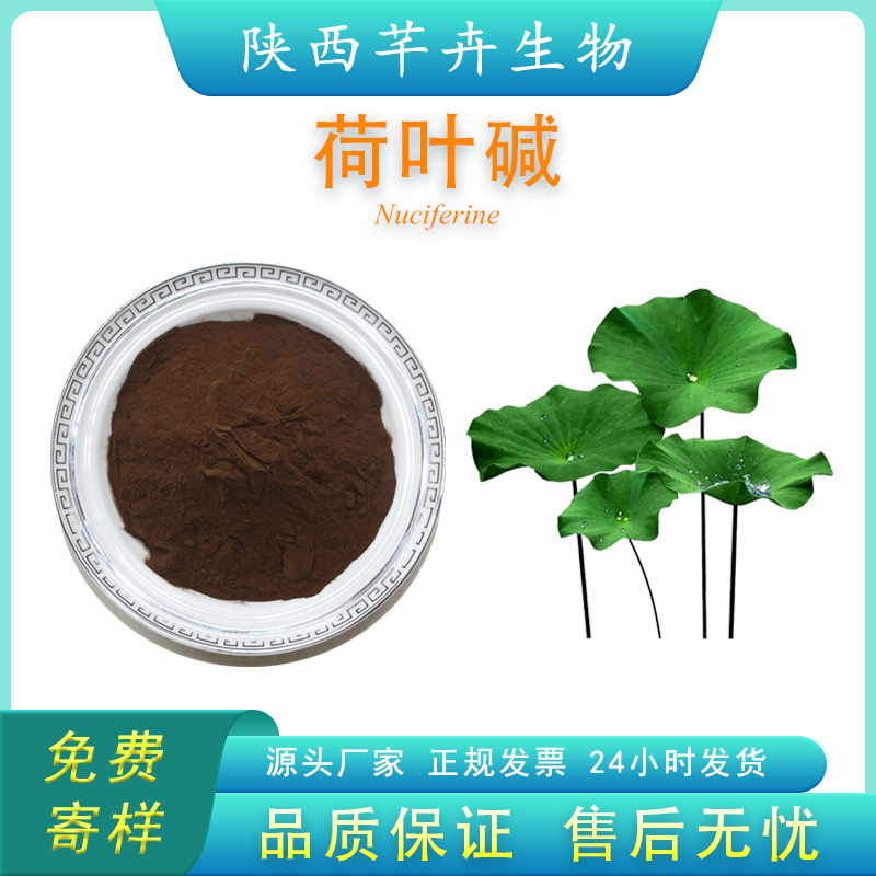 荷葉堿2% 荷葉提取物 另有荷葉堿98% 優質荷葉濃縮粉 廠家現貨.jpg