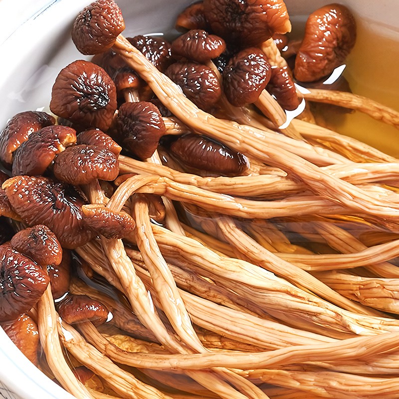 OEM定制加工茶樹(shù)菇廣東廠(chǎng)家干貨批發(fā)商用袋裝干茶樹(shù)菇一件代發(fā).jpg