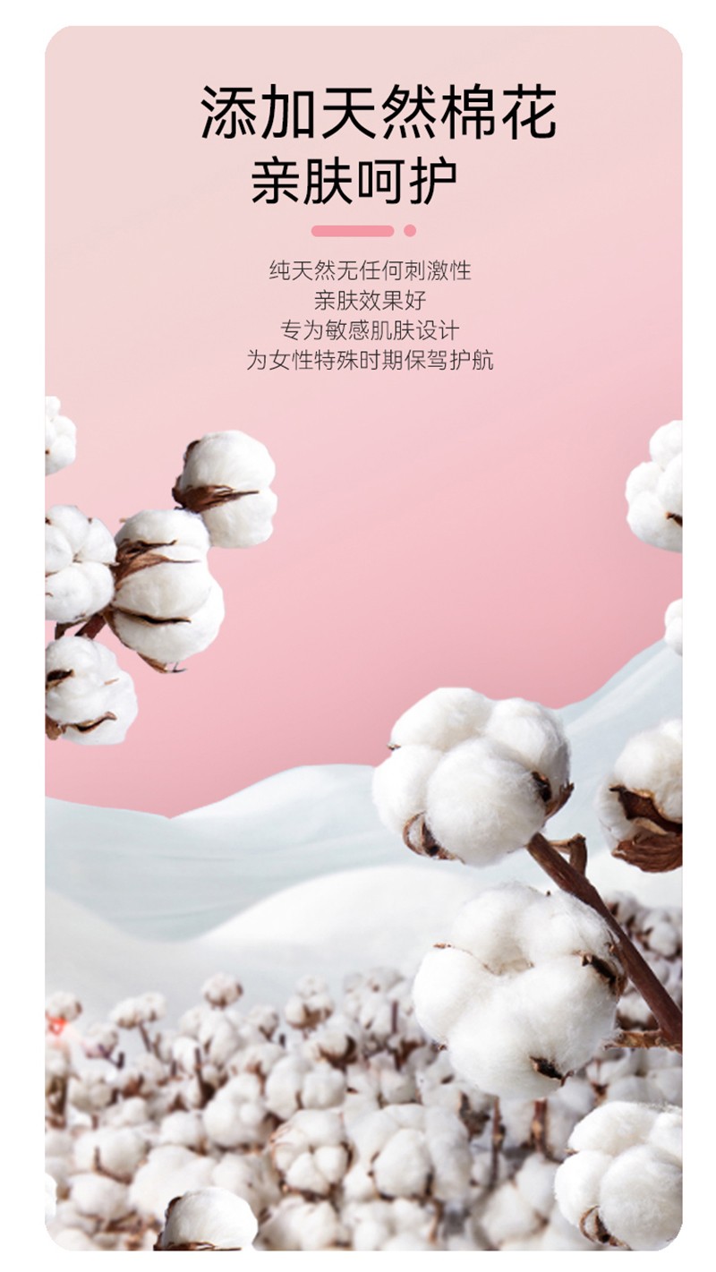 漢方草本衛生巾迷你巾12片_07.jpg