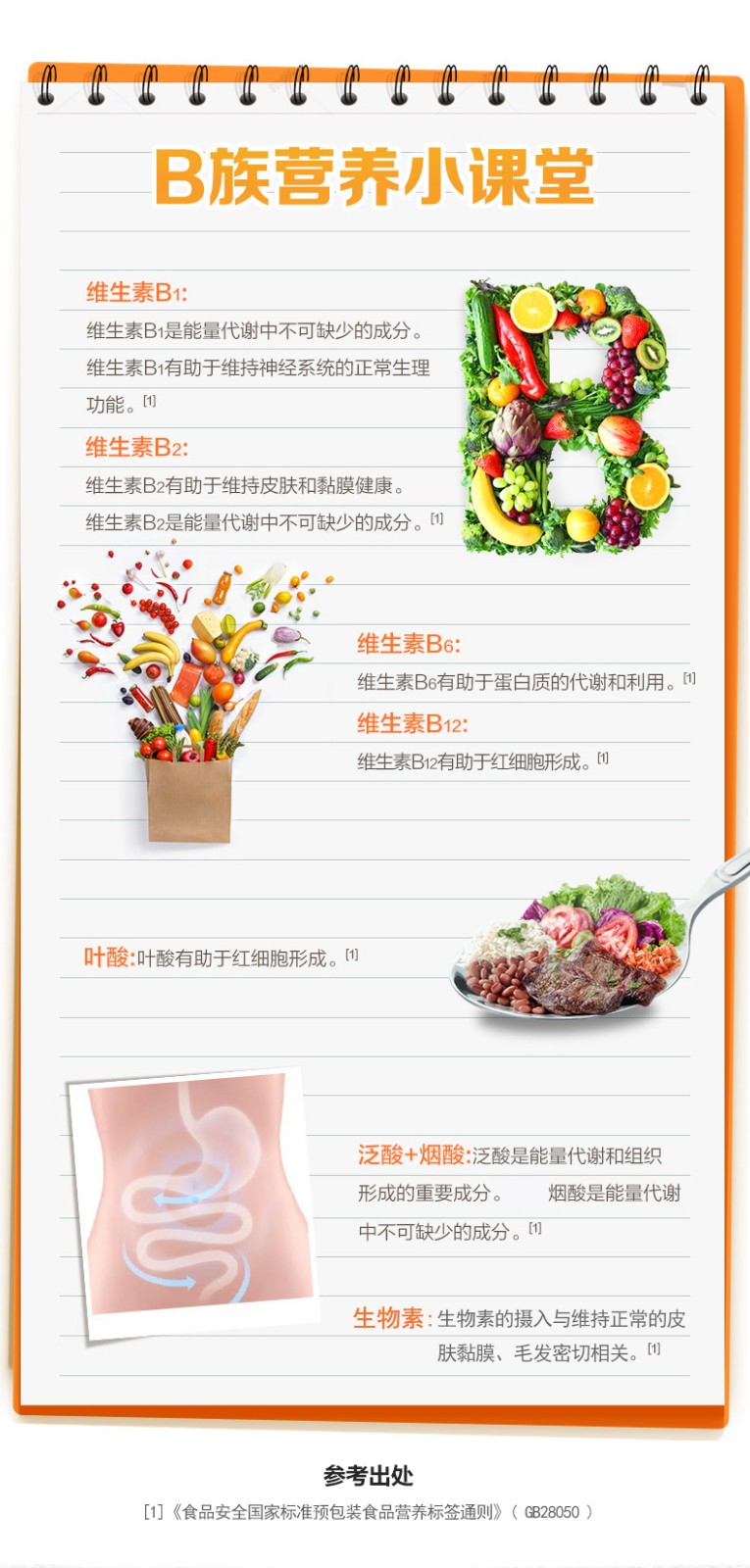 B族詳情_03.jpg