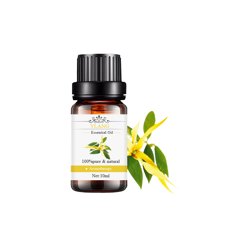 依蘭 Ylang.jpg
