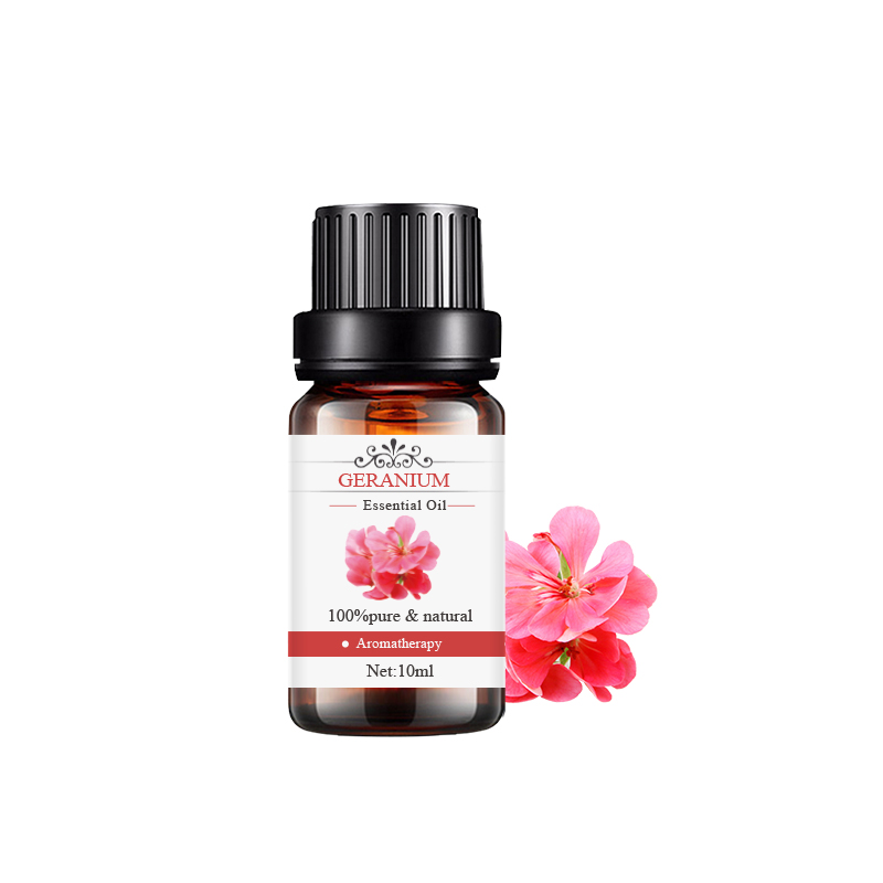 天竺葵 Geranium.jpg