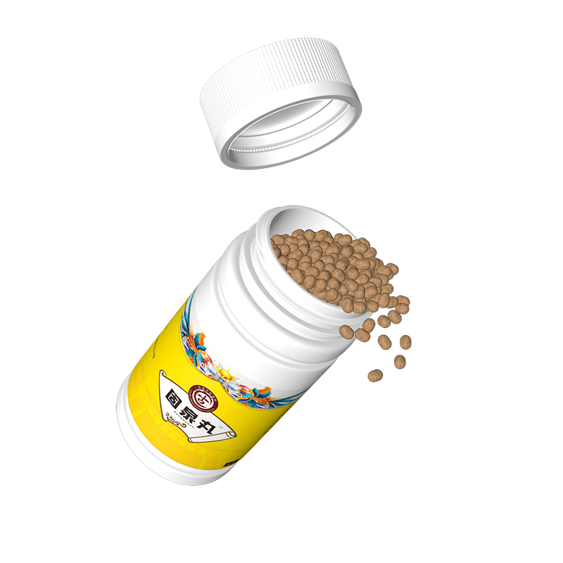 固泉丸.jpg