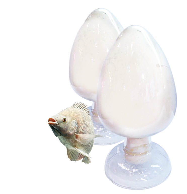 膠原蛋白肽.png