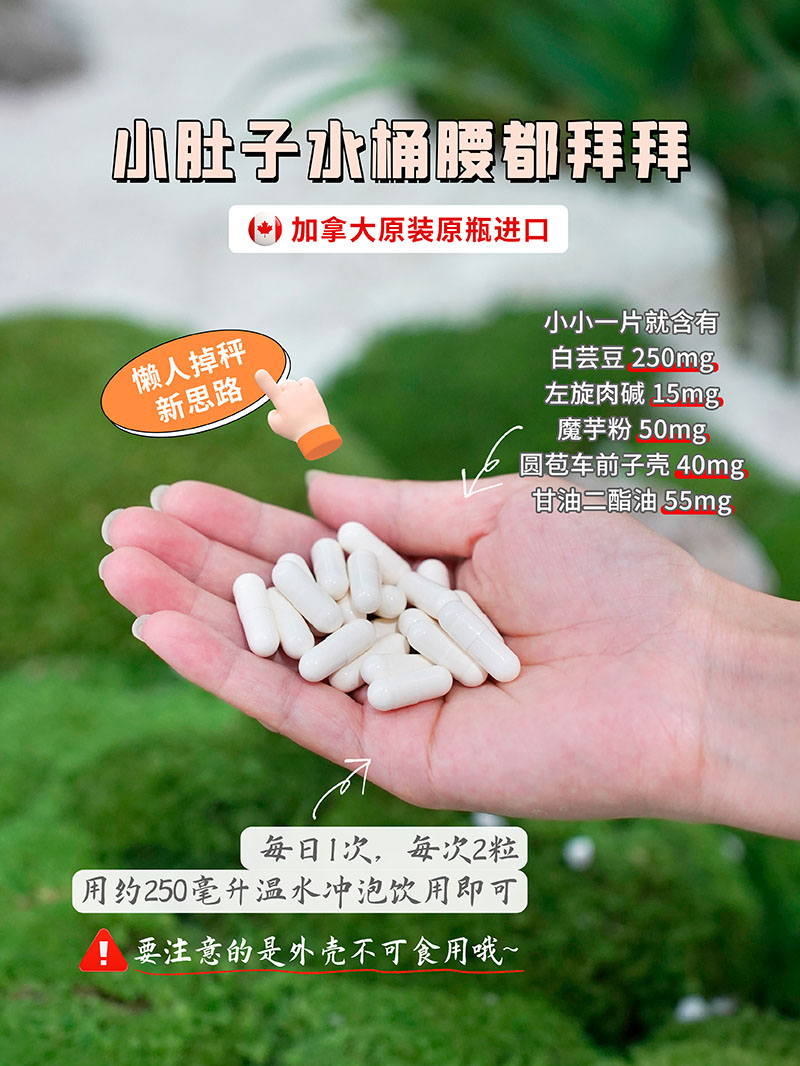Reaps瑞普斯左旋肉堿白蕓豆復合粉3.jpg