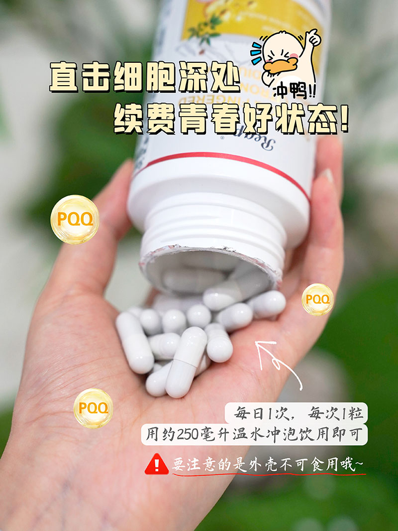 Reaps瑞普斯人參佛手吡咯并喹啉醌二鈉鹽復(fù)合粉3.jpg