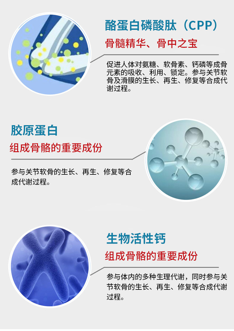 概述-11.jpg