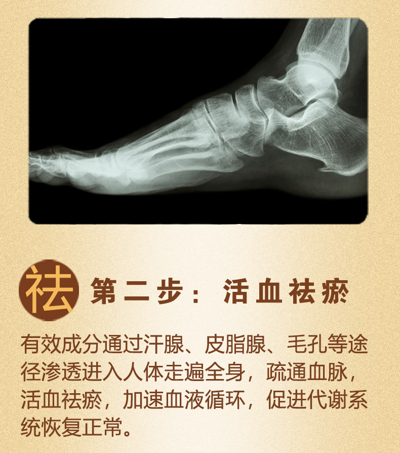 概述-7.jpg