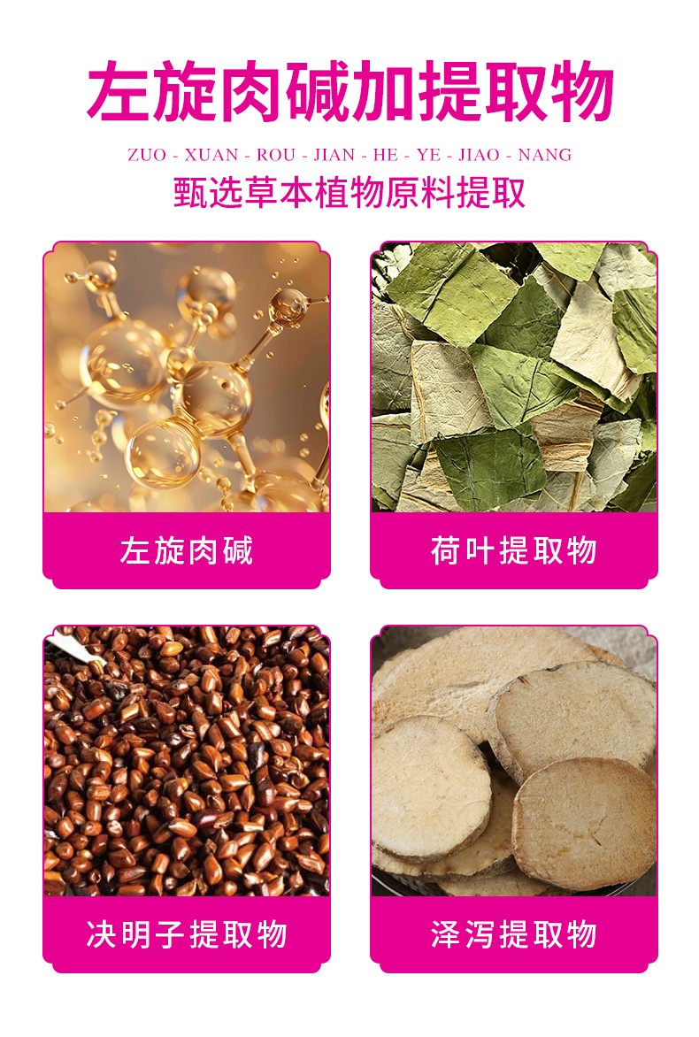 左旋肉堿荷葉膠囊詳情_03.jpg