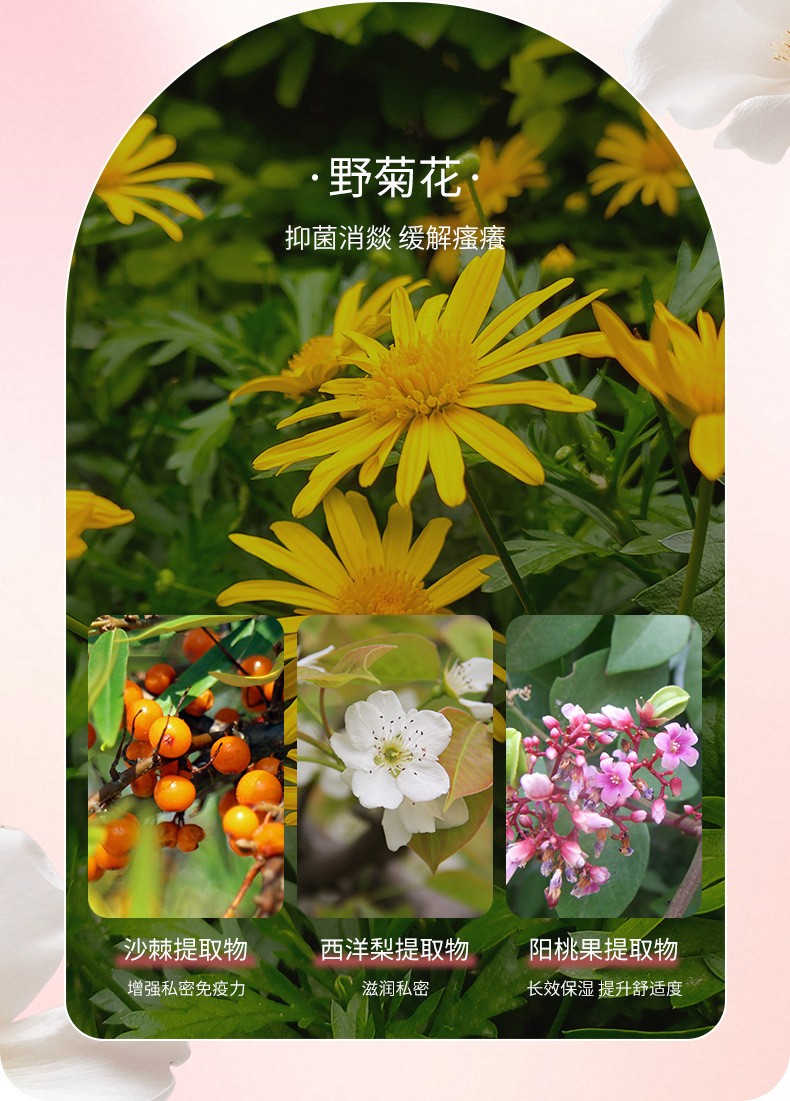 描述圖_07.jpg