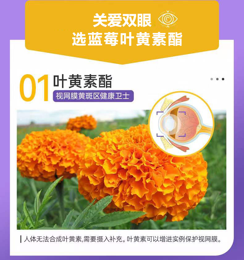 描述圖_07.jpg