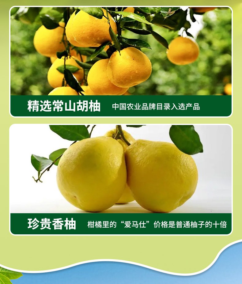 雙柚汁詳情_04-2.jpg
