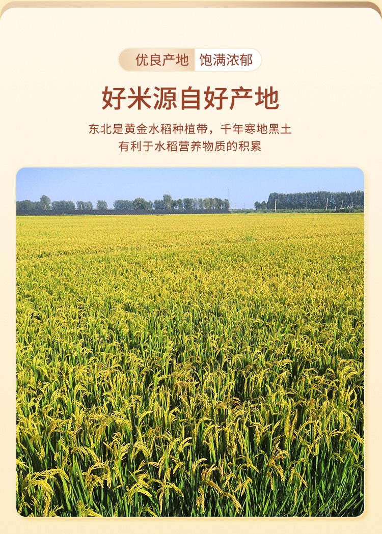 圓粒_03.jpg