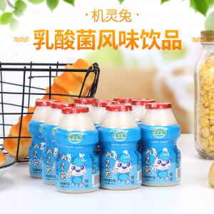 100mlx40機靈兔乳酸菌營養早餐酸牛奶代加工貼牌OEM/ODM