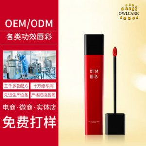 網紅熱推不沾杯唇彩豐唇蜜 加工定制貼牌OEM/ODM