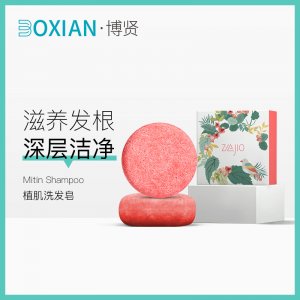 博賢實業(廣東)有限公司