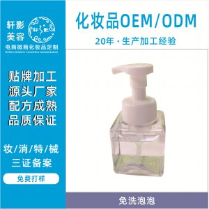 免洗洗手液泡沫型OEM代加工